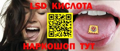 кокс Можга