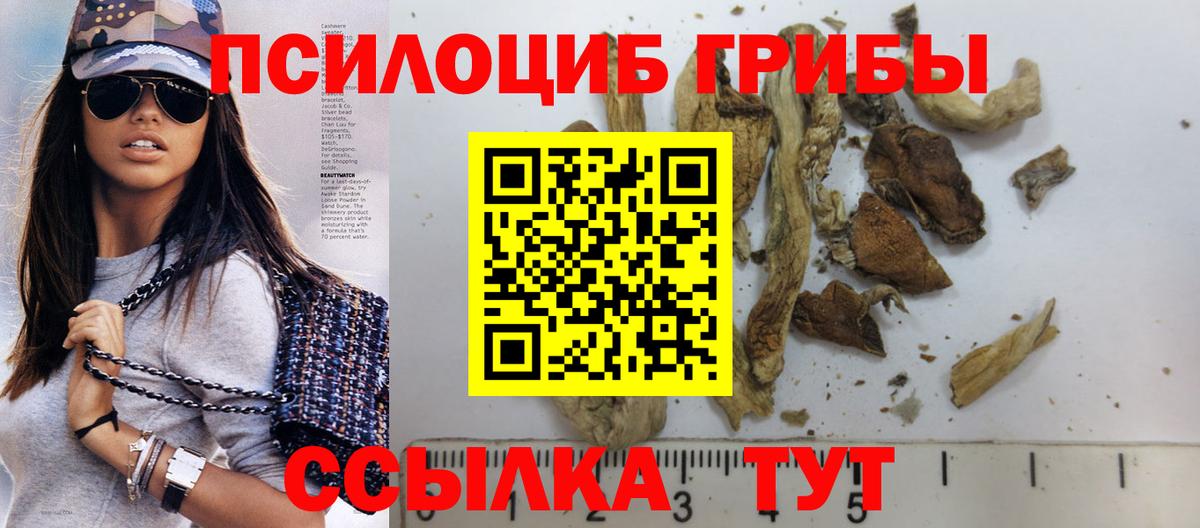 Галлюциногенные грибы Cubensis  Вход с VPN  Чернушка 