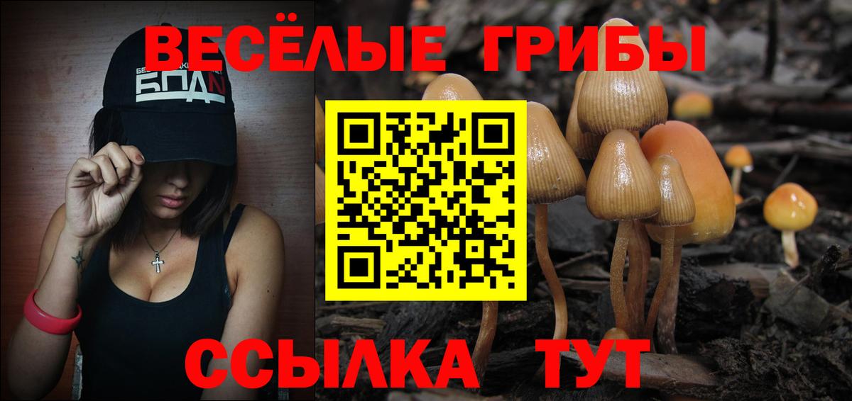 Псилоцибиновые грибы мицелий Чернушка